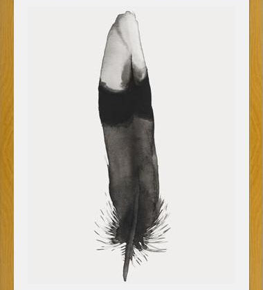 Cuadro Pluma Acuarela 2