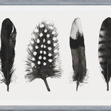 Cuadro Plumas Acuarela