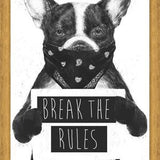 Cuadro Rebel Dog