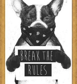 Cuadro Rebel Dog