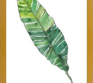 Cuadro HOJA DE PLATANO