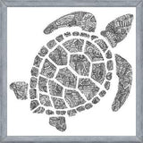 Cuadro Tortuga2