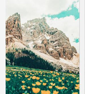 Cuadro Hillside Meadow