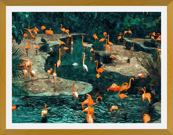 Cuadro Flamingo Creek