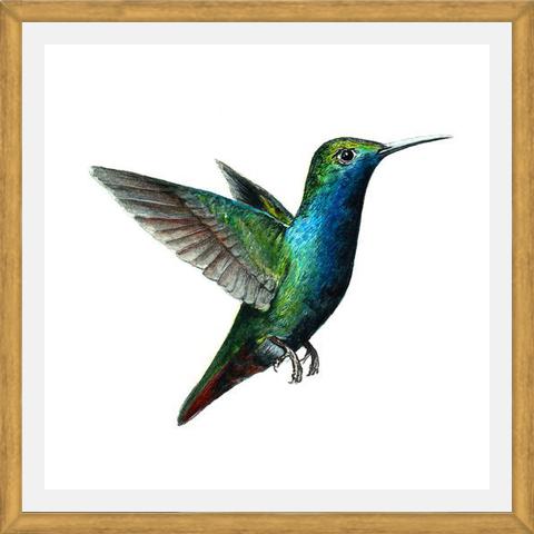 Cuadro Picaflor