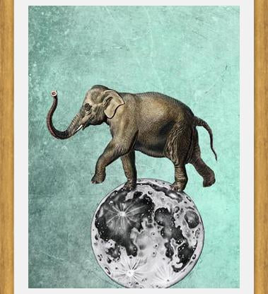 Cuadro Moon Circle