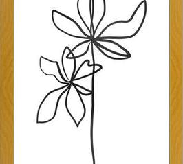 Cuadro Lines Leaves