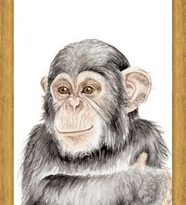 Cuadro Chimpancé