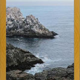 Cuadro PUQUEN II