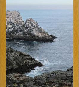 Cuadro PUQUEN II