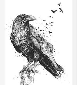 Cuadro Born to be free (bw)