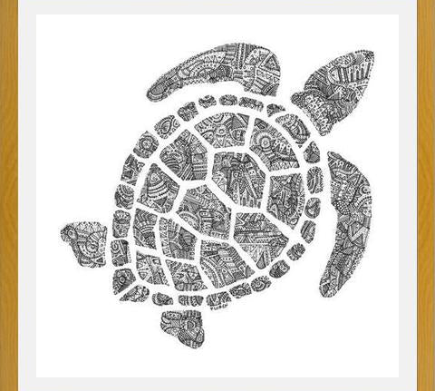 Cuadro Tortuga2