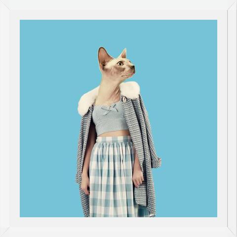 Cuadro Cat