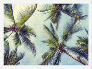 Cuadro Palms In The Sky