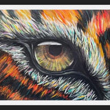 Cuadro tiger