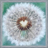 Cuadro Dandy Heart