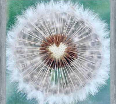 Cuadro Dandy Heart