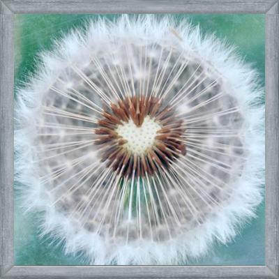 Cuadro Dandy Heart