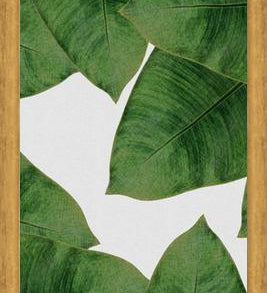 Cuadro Banana Leaf II