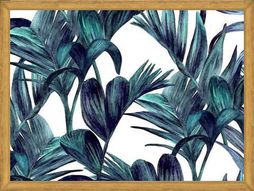 Cuadro tropical