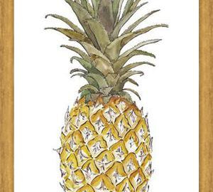 Cuadro PIÑA