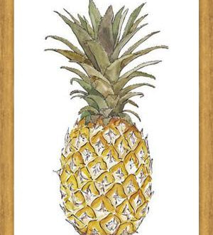 Cuadro PIÑA