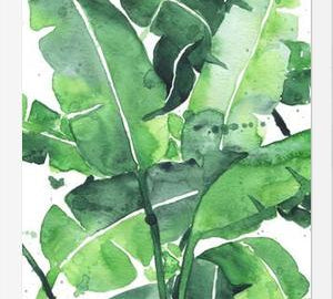 Cuadro Tropical Green 2