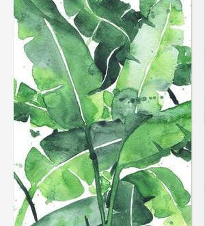 Cuadro Tropical Green 2