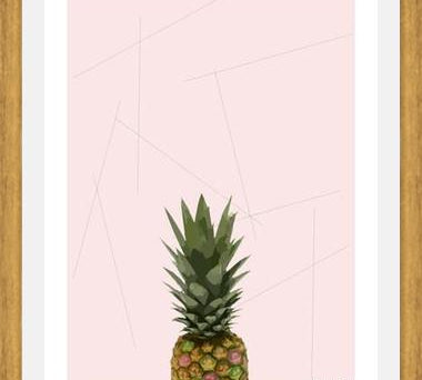 Cuadro Piña?