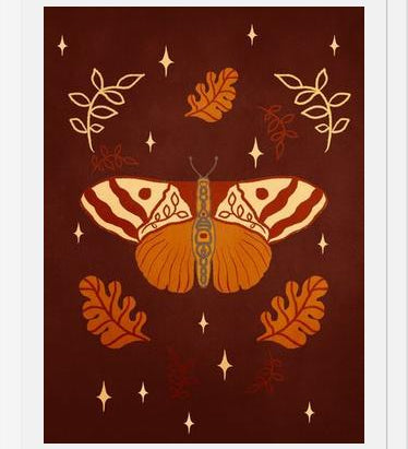 Cuadro Vintage Butterfly