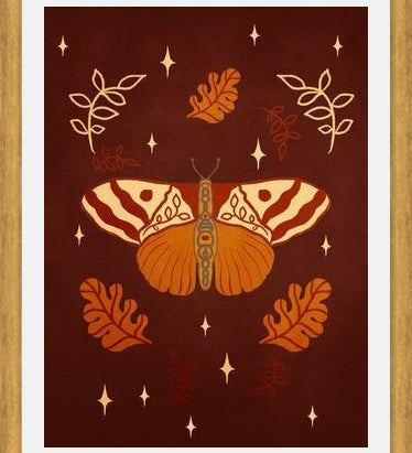 Cuadro Vintage Butterfly