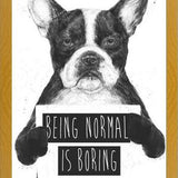 Cuadro Being normal is Boring