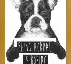 Cuadro Being normal is Boring