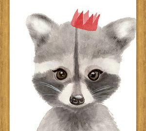 Cuadro Mapache con coronilla