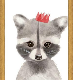 Cuadro Mapache con coronilla