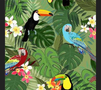 Cuadro Parrots and Toucan Tropical Birds Tropical Forest
