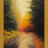 Cuadro Autumnal Landscape 3
