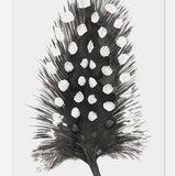 Cuadro Pluma Acuarela 4