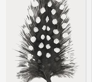 Cuadro Pluma Acuarela 4