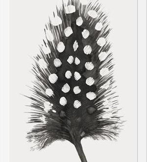Cuadro Pluma Acuarela 4