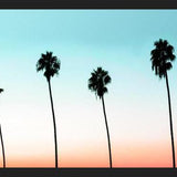Cuadro Sunset Boulevard
