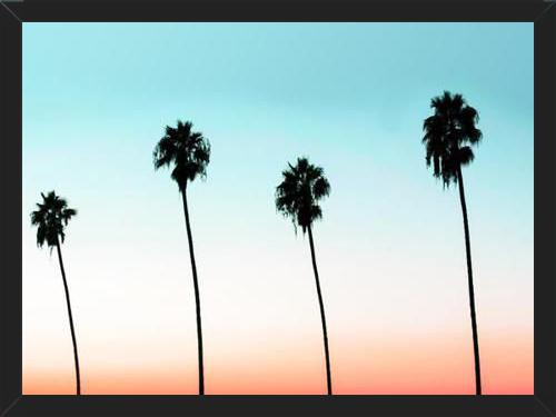 Cuadro Sunset Boulevard