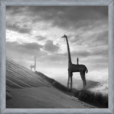 Cuadro Giraffes