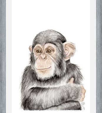 Cuadro Chimpancé