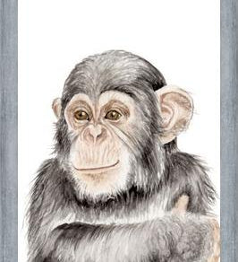 Cuadro Chimpancé