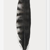Cuadro Pluma Acuarela 3