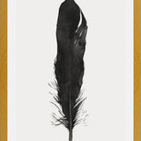 Cuadro Pluma Acuarela 1