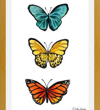 Cuadro Mariposas <3
