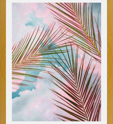 Cuadro Palms + Sky