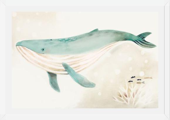 Cuadro Ballena